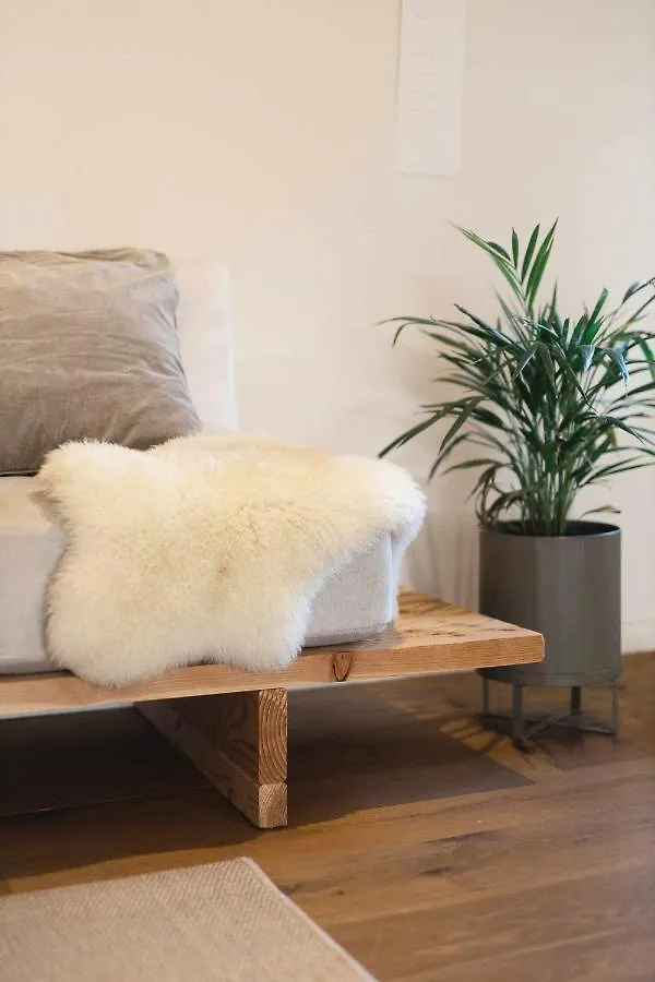 Cal Ouaire House Lohodihomes Viladesens Apartamento